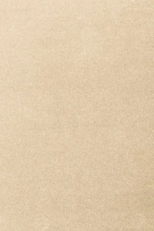 Ковровое покрытие AW Oinone 34 - (4м) в Воронеже