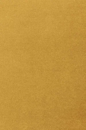 Ковровое покрытие AW Oinone 54 - (4м) в Воронеже