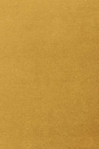 Ковровое покрытие AW Oinone 54 - (5м) в Воронеже