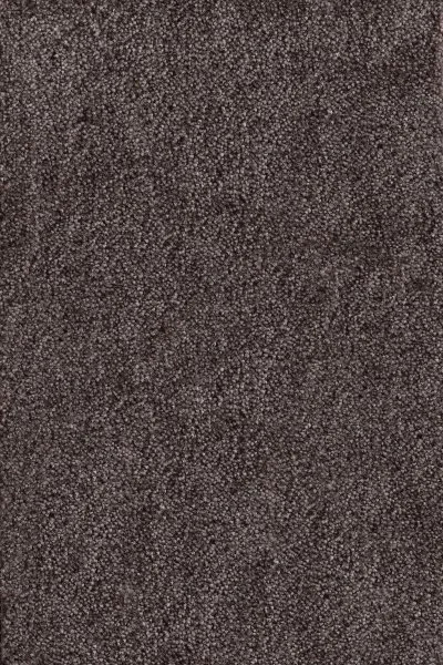 Ковровое покрытие AW Messalina 44 - (4м) в Воронеже