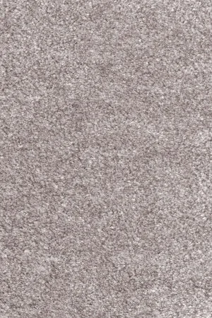 Ковровое покрытие AW Euphoria 16 - (4м) в Воронеже