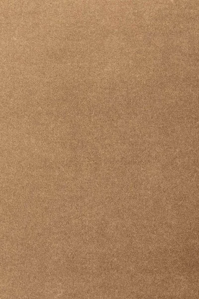 Ковровое покрытие AW Oinone 38 - (4м) в Воронеже