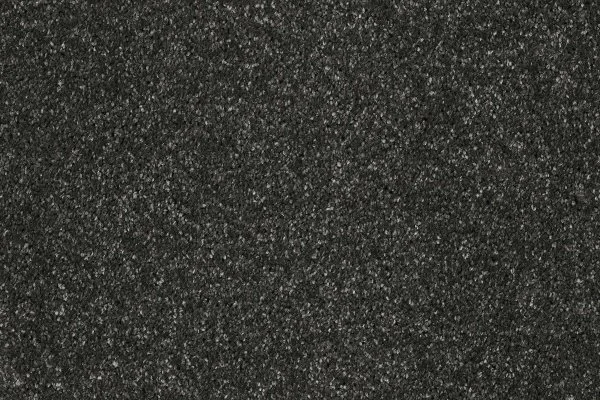 Ковровое покрытие AW Gala 97 - (5м) в Воронеже