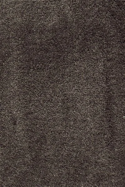 Ковровое покрытие AW Fedone 44 - (5м) в Воронеже