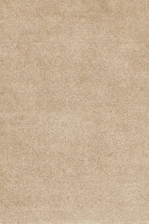 Ковровое покрытие AW Omphale 37 - (4м) в Воронеже