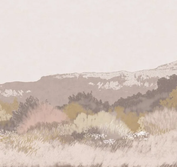 ART17 002 (вблизи)