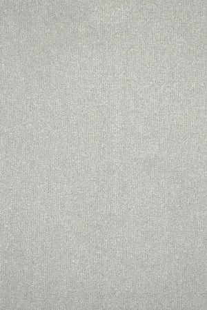 Ковровое покрытие AW Prima 90 - (4м) в Воронеже