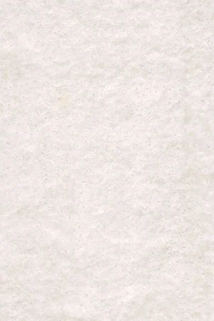 Ковровое покрытие AW Euphoria 03 - (5м) в Воронеже