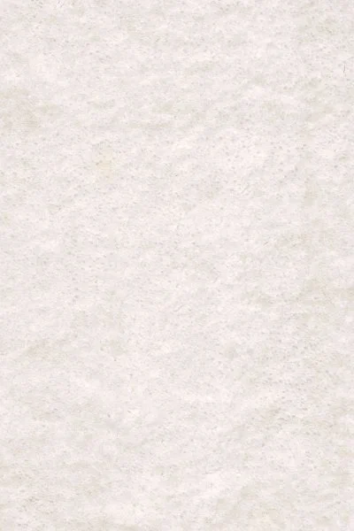 Ковровое покрытие AW Euphoria 03 - (5м) в Воронеже