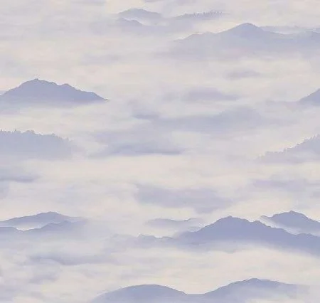 Обои Loymina Clair CLR4, 006 в Воронеже