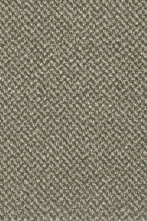 Ковровое покрытие AW Stainaway Tweed 24 - (4м) в Воронеже