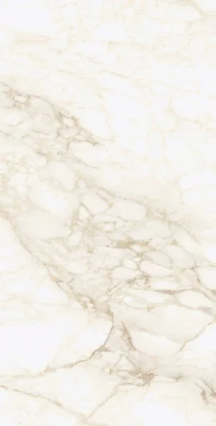 Керамогранит Coliseum Микеланджело Ворм 60х120 (Натуральный и Реттифицированный) в Воронеже