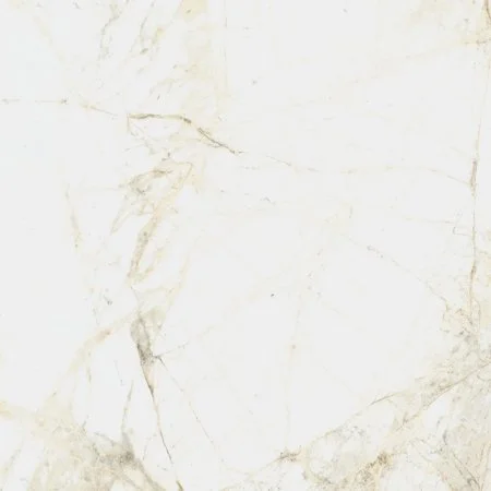 Керамогранит Coliseum Канова Уайт 60х60 (Натуральный и Реттифицированный) в Воронеже