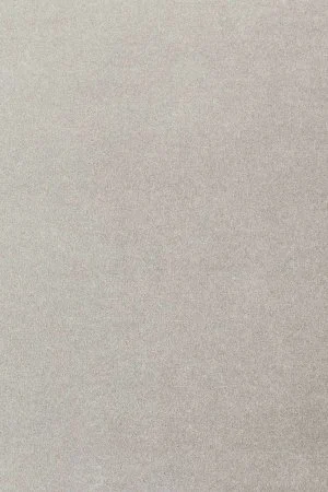 Ковровое покрытие AW Oinone 92 - (5м) в Воронеже