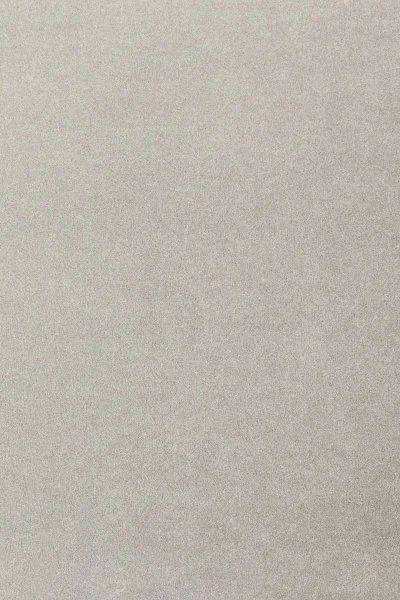 Ковровое покрытие AW Oinone 92 - (5м) в Воронеже