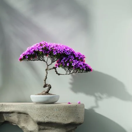 Обои Loymina Lotus LOT1 112 в Воронеже