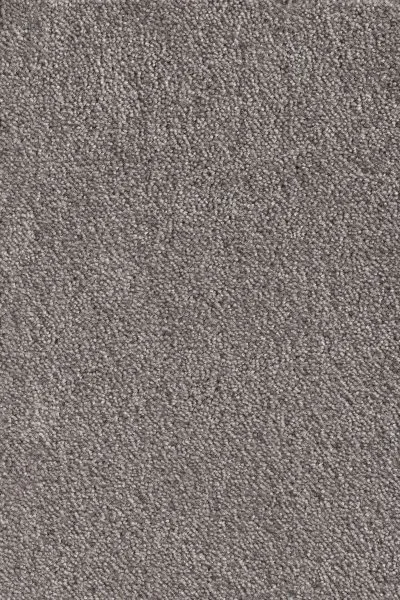 Ковровое покрытие AW Messalina 49 - (5м) в Воронеже