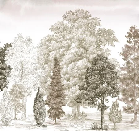 Обои Loymina Пейзаж vol. 2 ART14 012 в Воронеже