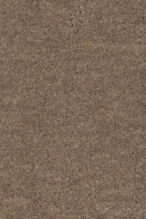 Ковровое покрытие AW Euphoria 36 - (5м) в Воронеже