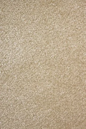 Ковровое покрытие AW Euphoria 33 - (5м) в Воронеже