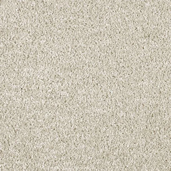 Ковровое покрытие AW Kiama 39 - (5м) в Воронеже