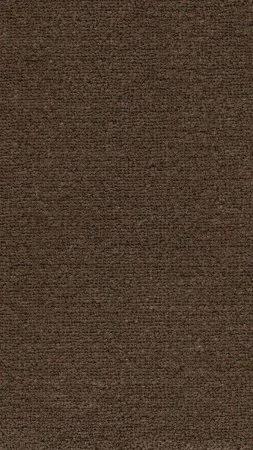 Ковровое покрытие AW Mezza 44 - (4м) в Воронеже