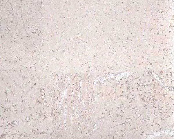 Настенное пробковое покрытие CorkArt PW 386 WS в Воронеже