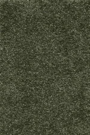 Ковровое покрытие AW Certosa 24 - (5м) в Воронеже