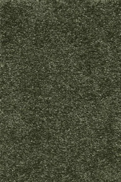 Ковровое покрытие AW Certosa 24 - (4м) в Воронеже