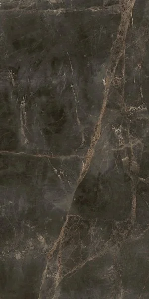Керамогранит Coliseum Канова Дарк 60х120 (Натуральный и Реттифицированный) в Воронеже