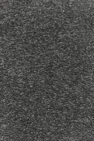 Ковровое покрытие AW Omnia 97 - (4м) в Воронеже