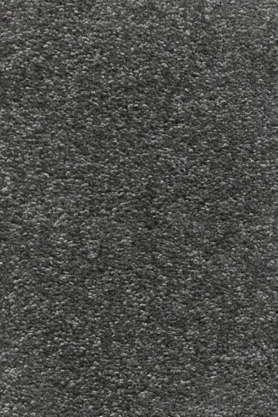 Ковровое покрытие AW Omnia 97 - (4м) в Воронеже