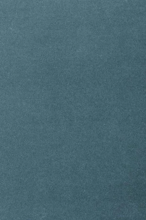 Ковровое покрытие AW Oinone 74 - (4м) в Воронеже