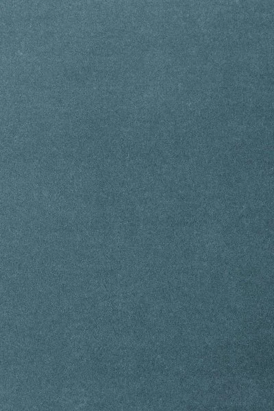 Ковровое покрытие AW Oinone 74 - (5м) в Воронеже