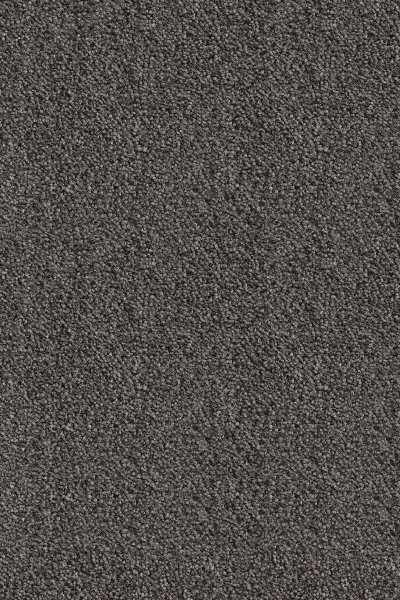 Ковровое покрытие AW Messalina 99 - (5м) в Воронеже