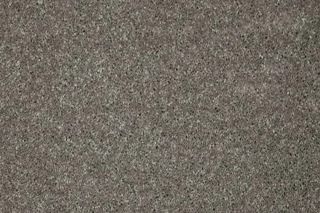 Ковровое покрытие AW Gala 94 - (5м) в Воронеже