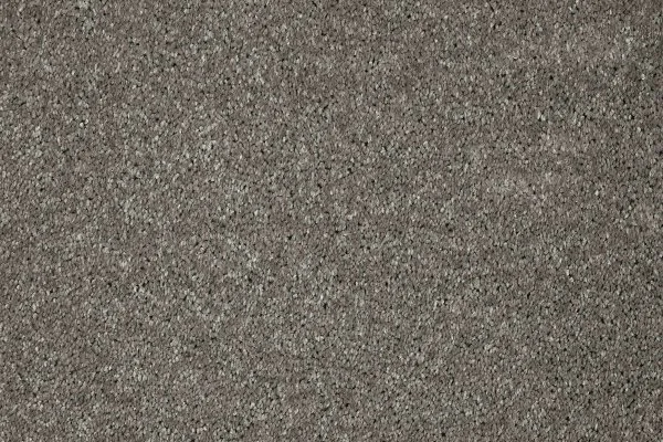 Ковровое покрытие AW Gala 94 - (5м) в Воронеже