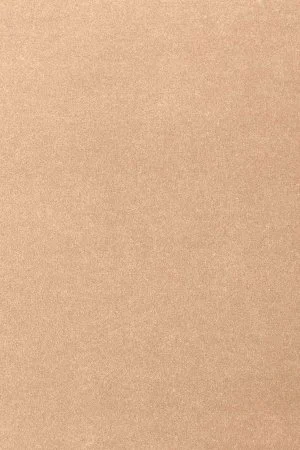 Ковровое покрытие AW Oinone 08 - (4м) в Воронеже