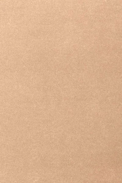 Ковровое покрытие AW Oinone 08 - (4м) в Воронеже