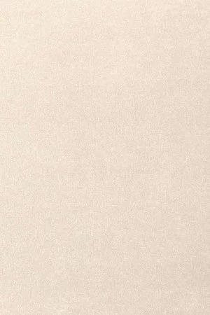 Ковровое покрытие AW Oinone 03 - (4м) в Воронеже