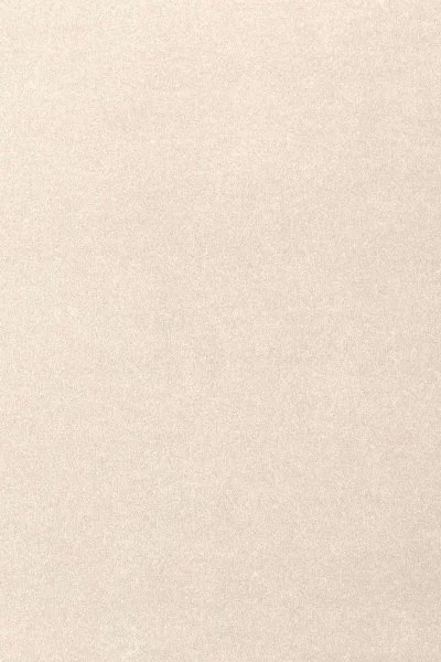 Ковровое покрытие AW Oinone 03 - (5м) в Воронеже