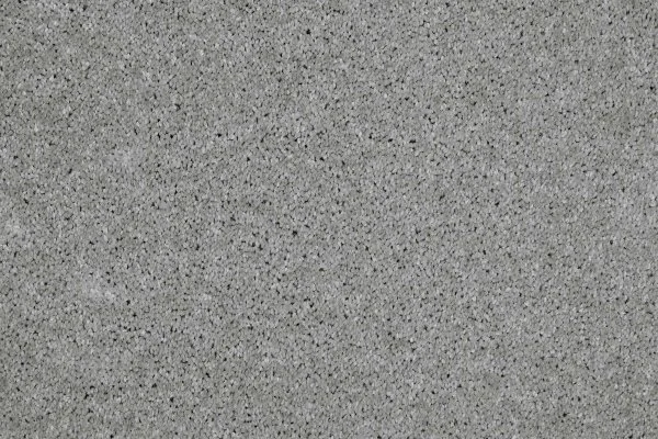 Ковровое покрытие AW Gala 90 - (4м) в Воронеже