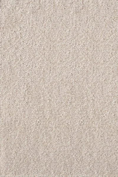 Ковровое покрытие AW Messalina 34 - (5м) в Воронеже