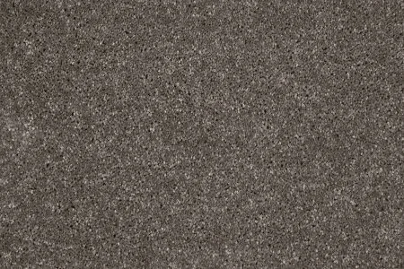 Ковровое покрытие AW Gala 49 - (4м) в Воронеже