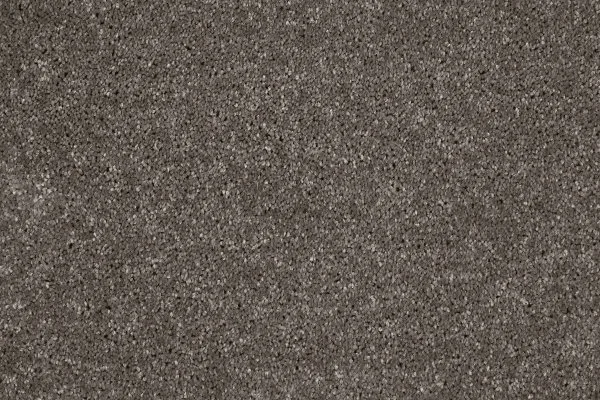 Ковровое покрытие AW Gala 49 - (4м) в Воронеже