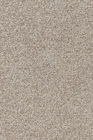 Ковровое покрытие AW Stainguard Harvest 04 - (4м) в Воронеже