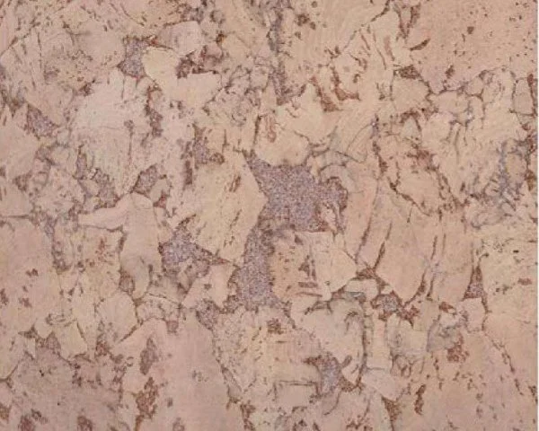 Настенное пробковое покрытие CorkArt PW 324 NK в Воронеже