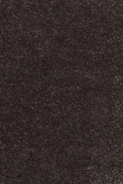 Ковровое покрытие AW Euphoria 43 - (4м) в Воронеже