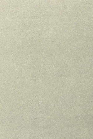 Ковровое покрытие AW Oinone 02 - (5м) в Воронеже