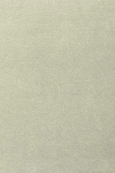 Ковровое покрытие AW Oinone 02 - (4м) в Воронеже